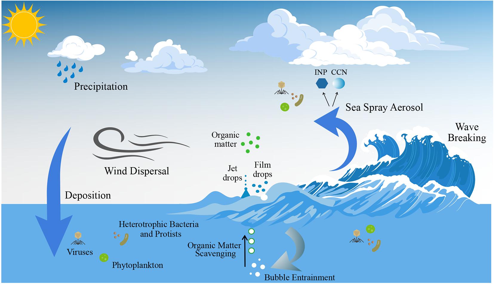 Processes associated with generating sea spray